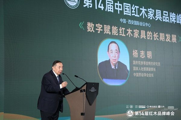 國(guó)務(wù)院參事室特邀研究員、國(guó)家人社部原副部長(zhǎng)、中國(guó)勞動(dòng)學(xué)會(huì)會(huì)長(zhǎng)楊志明發(fā)表演講